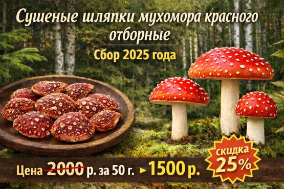 Сушеные шляпки красного мухомора